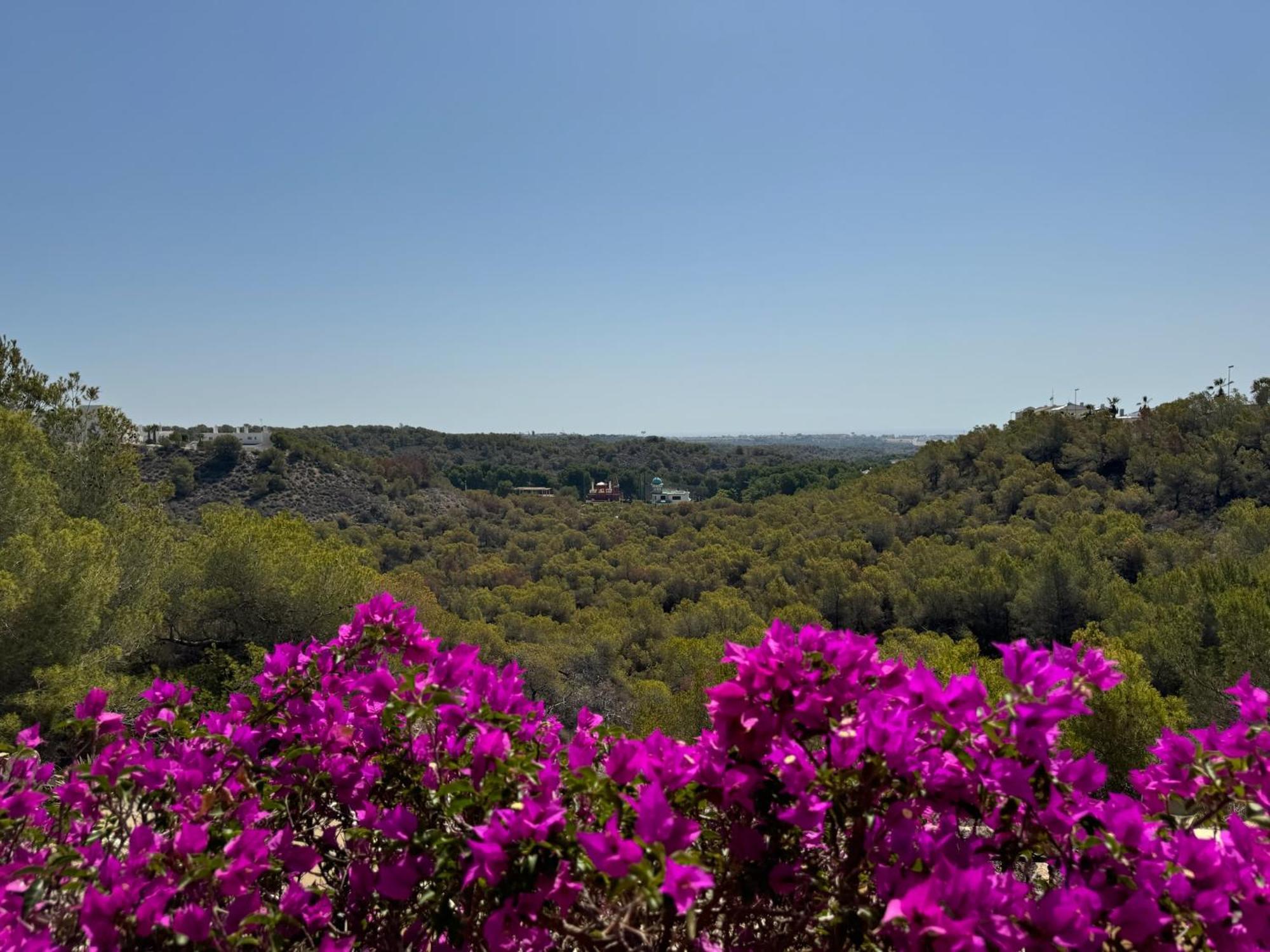 Orihuela - Las Ramblas - Casa Pino Dehesa de Campoamor  Exteriör bild